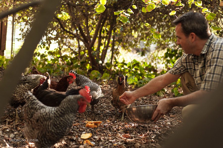4 Documentary family photographs feeding the chickens at home Rebecca Little Photography