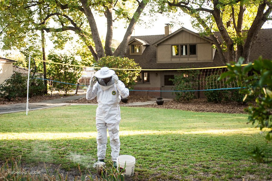 5 Beekeeper at home in Altadena documentary lifestyle images by Rebecca Little Photography in Pasadenajpg