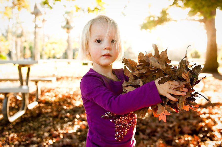 This is a family lifestyle photography session  taken at lacy Park in San Marino. Ela is a young girl aged 4. She is in a bright purple top and she is holdig a big handful of brown fall leaves. Her hair is white blond and her skin is pale. She has a serious expression and is looking at the camera. The sun is streaming behind her. There are fall leaves on the ground and a picnic bench behind her. This image was created by Rebecca Little Photography Pasadena, CA.