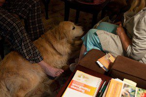 lifestyle photography a day in the life