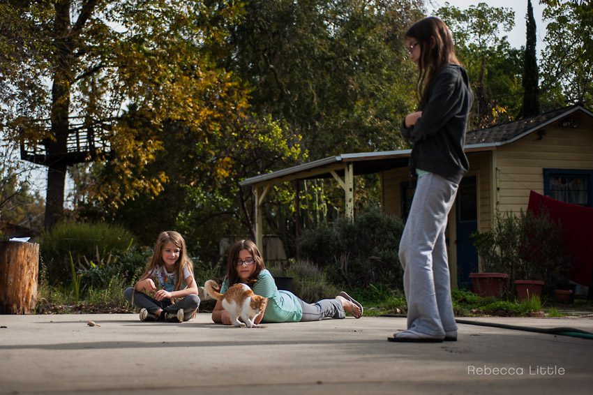 Pasadena-family-lifestyle-photography-by-Rebecca-Little-Photography