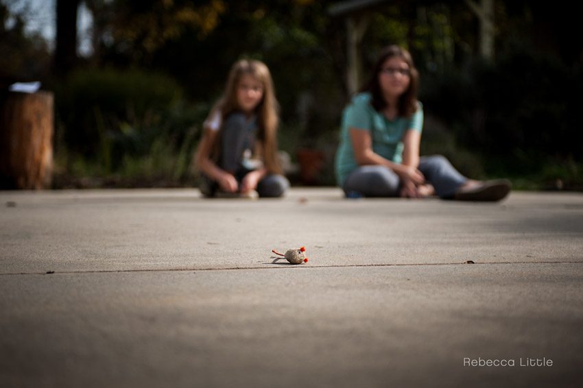 Pasadena-family-photography-by-Rebecca-Little